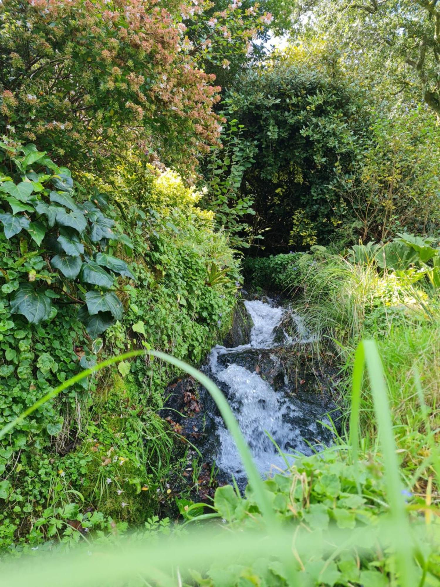 Moulin De Bonnescat Villa Plogonnec Exterior foto